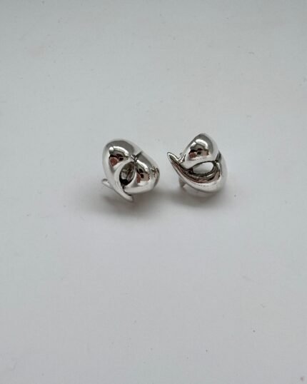 Pendiente plata Funda Doble